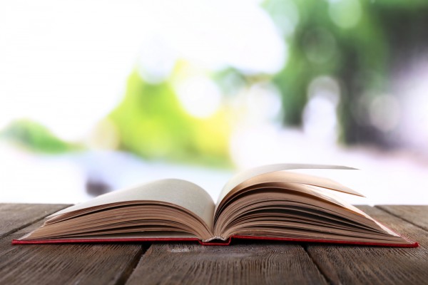 Abertas as inscrições para o seminário "O Negócio do Livro" Abertas as inscrições para o seminário "O Negócio do Livro"