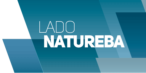 Blog da Gaúcha coloca o foco na alimentação saudável Blog da Gaúcha coloca o foco na alimentação saudável