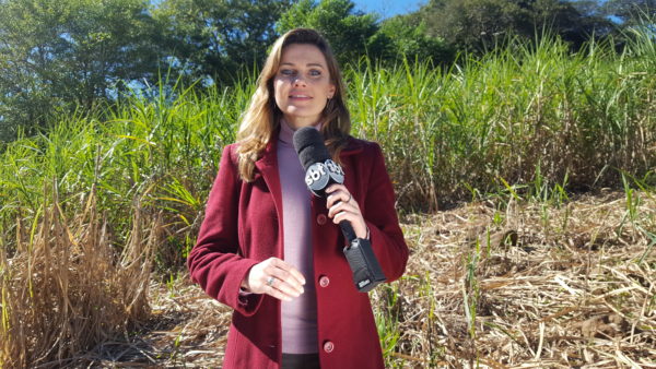 Programa de agronegócio do SBT celebra um ano na grade da emissora regional Programa de agronegócio do SBT celebra um ano na grade da emissora regional
