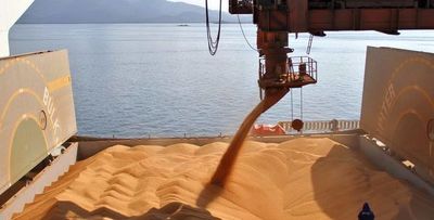 Agronegócio gaúcho movimentou US$ 12,12 bilhões em exportações Agronegócio gaúcho movimentou US$ 12,12 bilhões em exportações