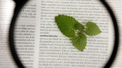 Revistas da Univates somam mais de um milhão de visualizações Revistas da Univates somam mais de um milhão de visualizações