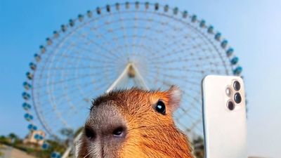 Gramado Parks aposta em inteligência artificial para acelerar resultados de Marketing Gramado Parks aposta em inteligência artificial para acelerar resultados de Marketing
