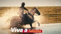 'Viva o Inverno Gaúcho' busca fortalecer a identidade do inverno local