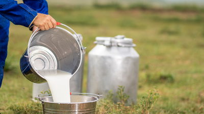 Profissionais tm at hoje para se inscrever no 'Prmio Sindilat de Jornalismo'
