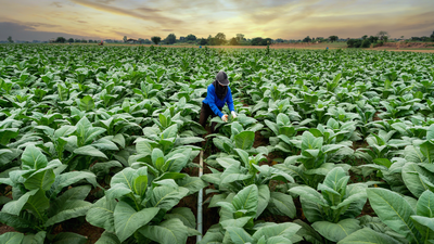 Veculos gachos denunciam cerceamento  liberdade de imprensa na COP do Tabaco